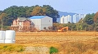 이미옥님의 벼 · 영농일지 작성글 사진