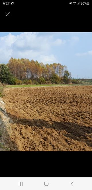 이미옥님의 벼 · 영농일지 작성글 사진