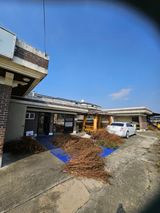 팜모닝 들깨·영농일지 게시글 이미지