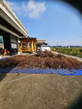 연승흠님의 들깨 · 영농일지 작성글 사진