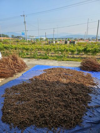 연승흠님의 들깨 · 영농일지 작성글 사진