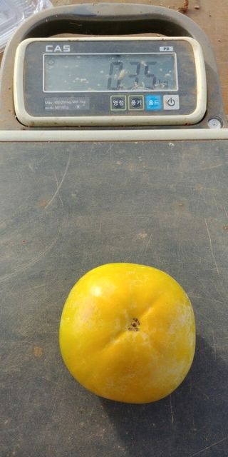 이동훈님의 작성글 사진