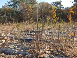 이동훈님의 작성글 사진