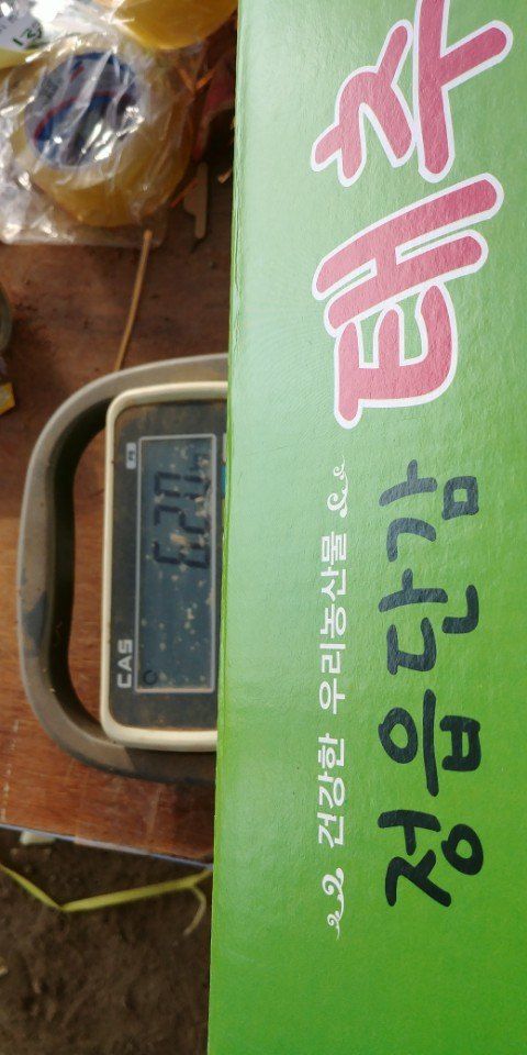 이동훈님의 장터 판매 상품 [태추단감 묘목 판매] 첨부 사진