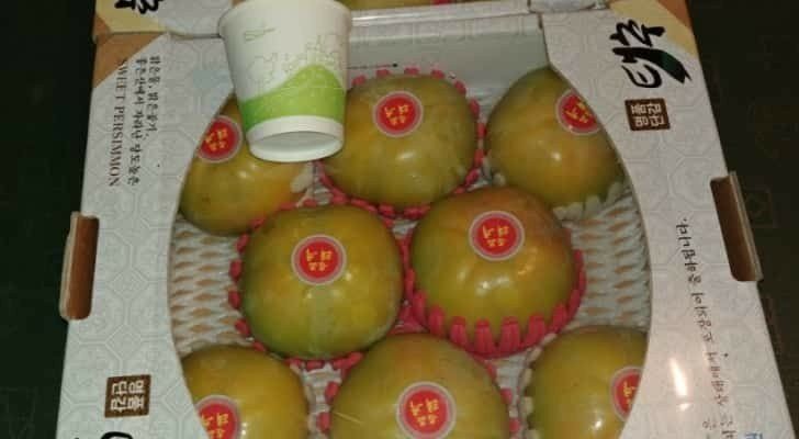 이동훈님의 장터 판매 상품 [태추단감 묘목 판매] 첨부 사진