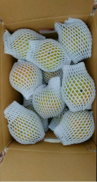 이동훈님의 작성글 사진