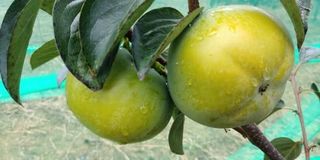 이동훈님의 작성글 사진