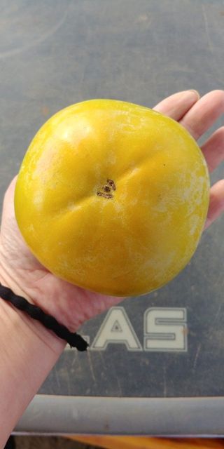 이동훈님의 작성글 사진