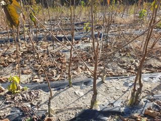 이동훈님의 작성글 사진