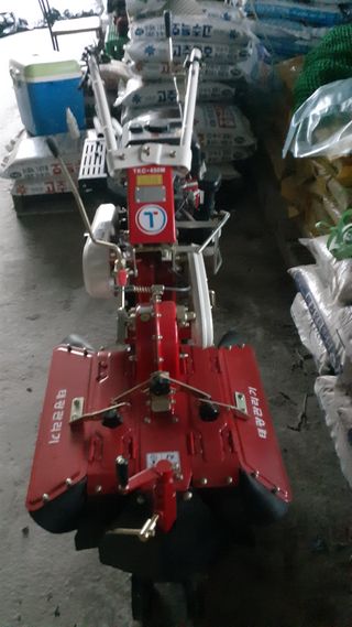 송광만님의 양파 · 자유게시판 작성글 사진