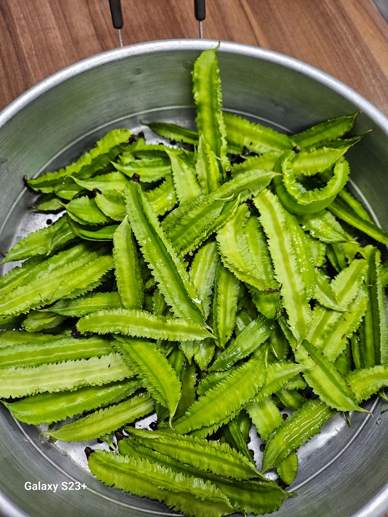 장터 상품 [날개달린콩1kg] 썸네일