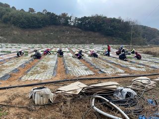 ONION님의 양파 · 자유게시판 작성글 사진