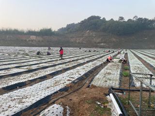 ONION님의 양파 · 자유게시판 작성글 사진