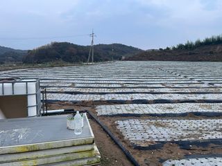 ONION님의 양파 · 자유게시판 작성글 사진