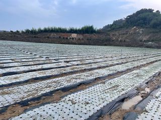 ONION님의 양파 · 자유게시판 작성글 사진