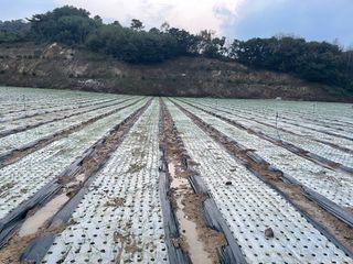 ONION님의 양파 · 자유게시판 작성글 사진