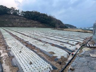 ONION님의 양파 · 자유게시판 작성글 사진