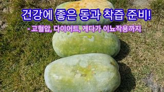 장팔현님의 작성글 사진