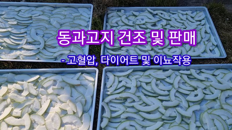 장팔현님의 장터 판매 상품 [동과즙(동아박즙) 원액 / 고혈압, 당뇨에 효과] 첨부 사진