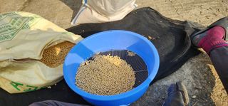 이종원님의 11월 내 작물 자랑하기 · 참여글 작성글 사진