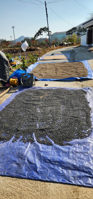 이종원님의 11월 내 작물 자랑하기 · 참여글 작성글 사진