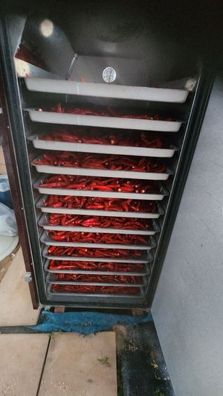 이종원님의 11월 내 작물 자랑하기 · 참여글 작성글 사진