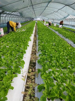 고두윤님의 작성글 사진