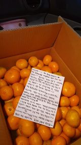 팜모닝 자유주제·칭찬해요 게시글 이미지