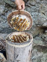 팜모닝 11월 내 작물 자랑하기·참여글 게시글 이미지