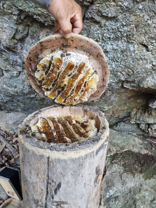 모두팜님의 11월 내 작물 자랑하기 · 참여글 작성글 사진