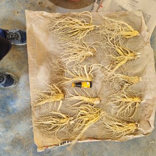 모두팜님의 11월 내 작물 자랑하기 · 참여글 작성글 사진