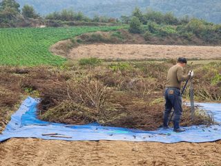 모두팜님의 11월 내 작물 자랑하기 · 참여글 작성글 사진