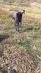 팜모닝 콩·자유게시판 게시글 이미지