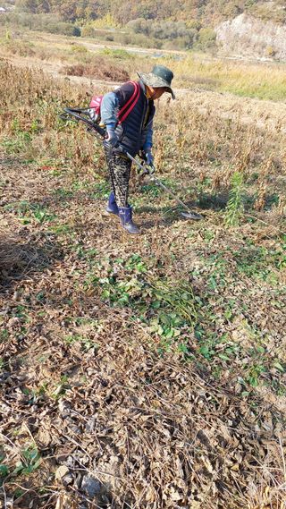 박진하님의 콩 · 자유게시판 작성글 사진