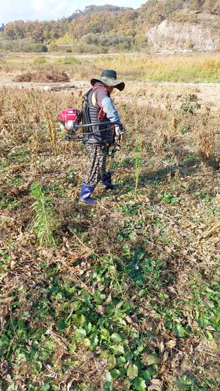 박진하님의 콩 · 자유게시판 작성글 사진