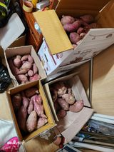 팜모닝 11월 내 작물 자랑하기·참여글 게시글 이미지