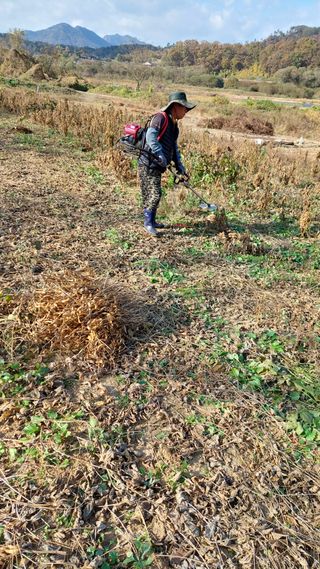 박진하님의 11월 내 작물 자랑하기 · 참여글 작성글 사진