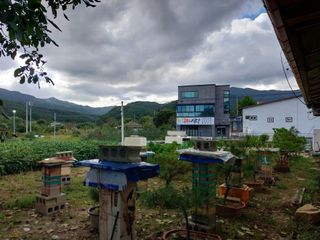 오석한님의 장터이야기 · 자유게시판 작성글 사진