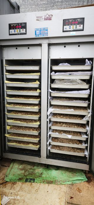 벽창호(죽동농부)님의 11월 내 작물 자랑하기 · 참여글 작성글 사진