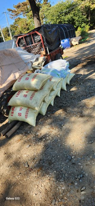 벽창호(죽동농부)님의 11월 내 작물 자랑하기 · 참여글 작성글 사진