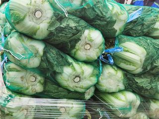 안나농부님의 배추 · 시세•판로 작성글 사진