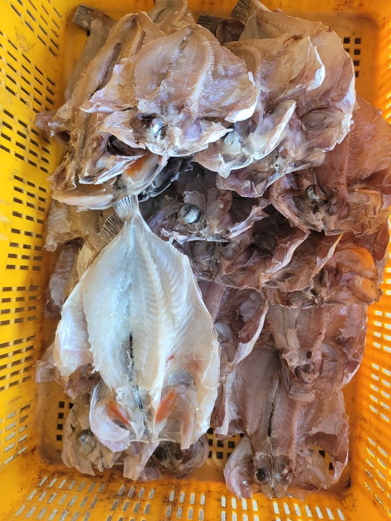 김진국님의 장터 판매 상품 [완도국내산 반건조 쏨뱅이 400g 3마리 [원산지:국산(전라남도 완도군)]] 첨부 사진