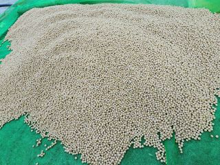 조효성님의 11월 내 작물 자랑하기 · 참여글 작성글 사진