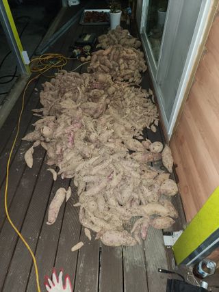 조효성님의 11월 내 작물 자랑하기 · 참여글 작성글 사진