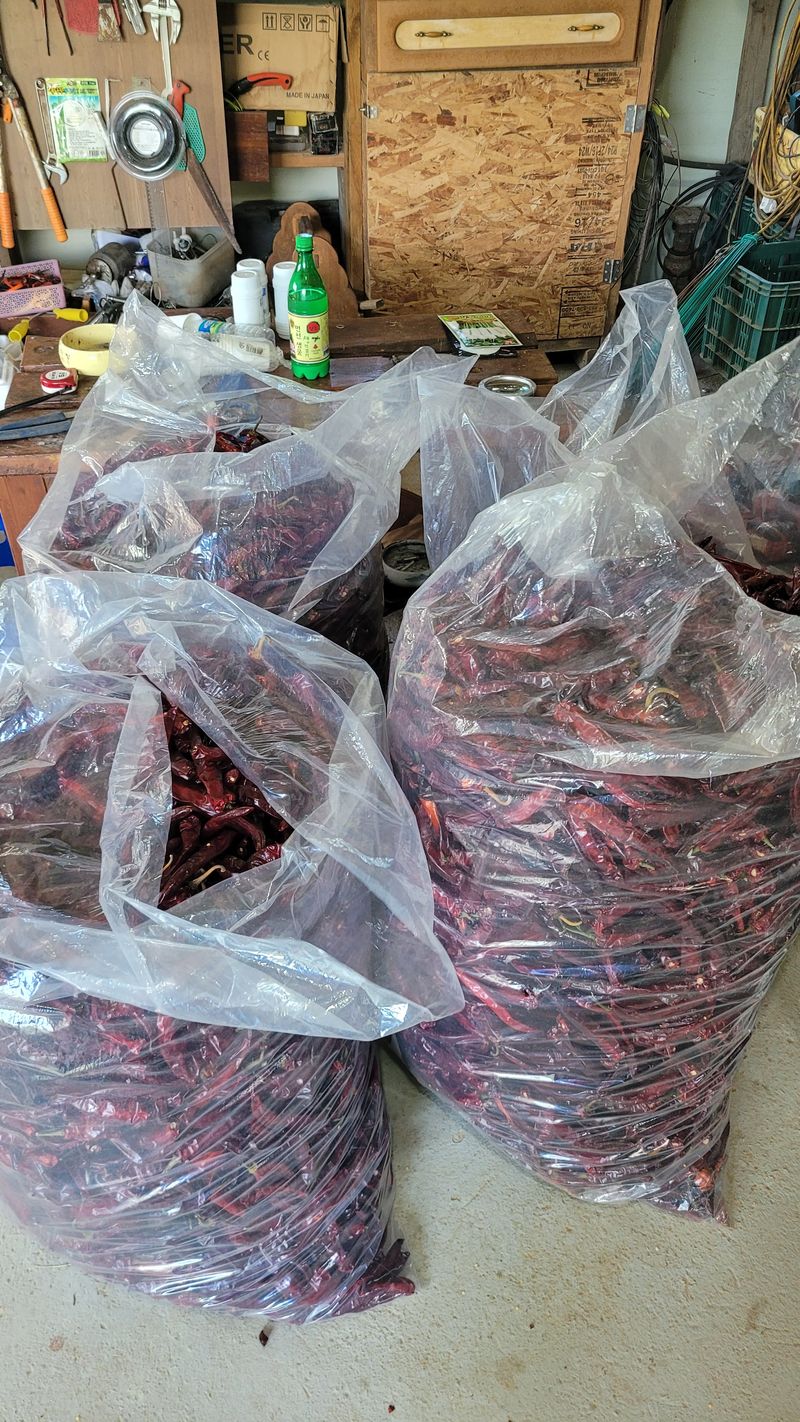 장터 상품 [고추가루 10근] 썸네일