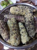 팜모닝 옥수수·자유게시판 게시글 이미지