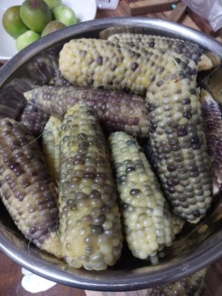 이미숙님의 옥수수 · 자유게시판 작성글 사진