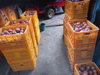 알 수 없음님의 자유주제 · 자유게시판 작성글 사진