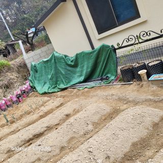 장유경만점자님의 11월 내 작물 자랑하기 · 참여글 작성글 사진