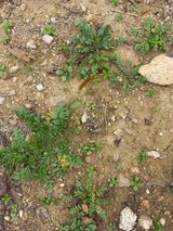 팜모닝 자유주제·자유게시판 게시글 이미지